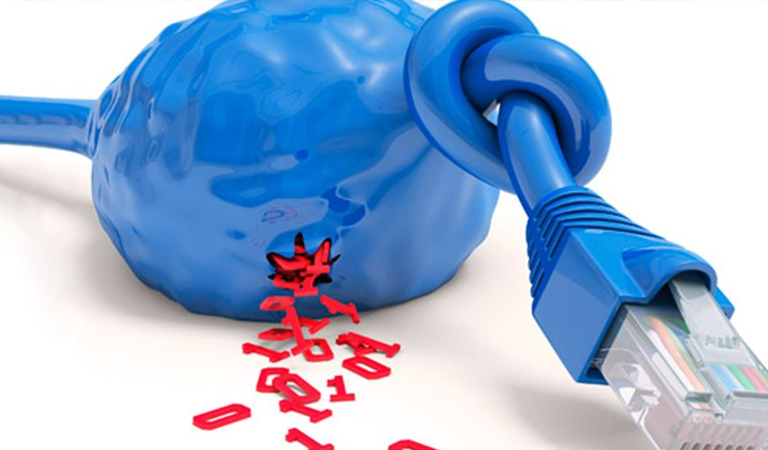 Network performans desteği